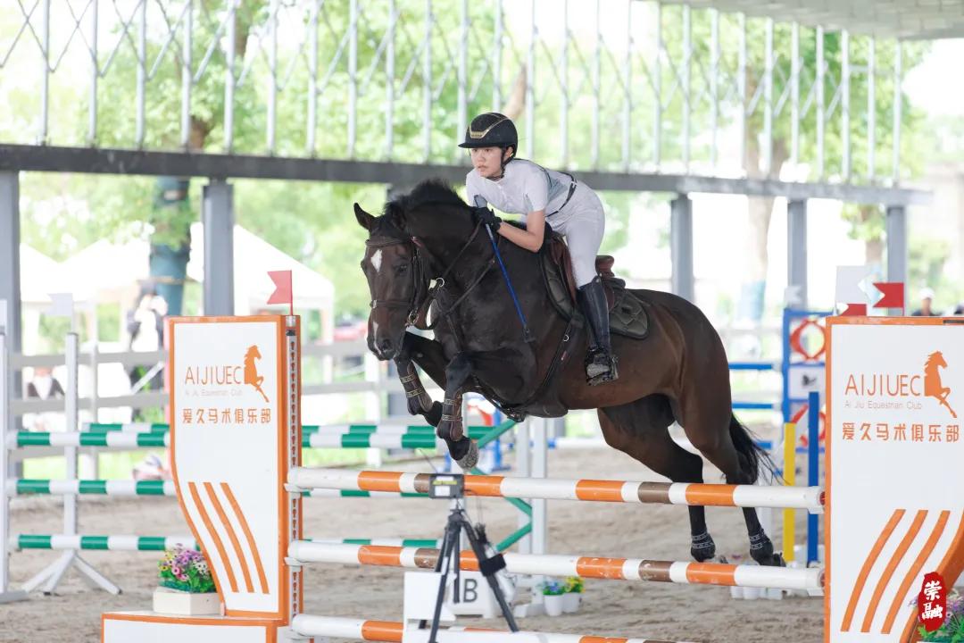 图片33.jpg 图片33.jpg