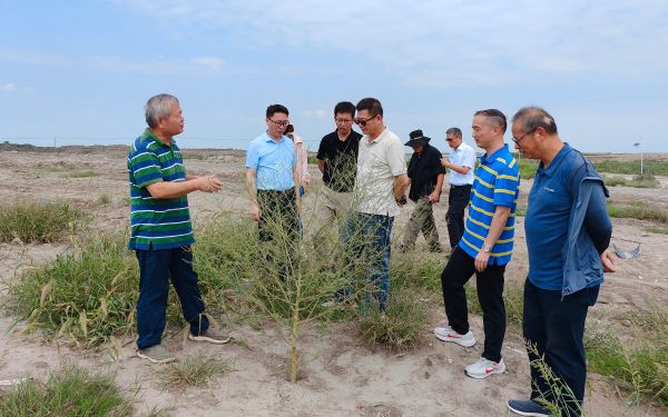 现场调研.jpg 现场调研.jpg