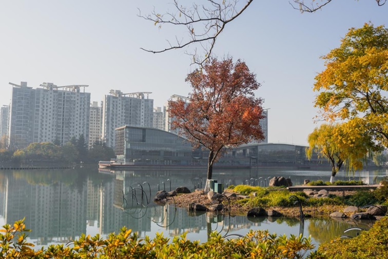 冬日“沪”水游，青浦新城：冬境绮梦，水韵流长
