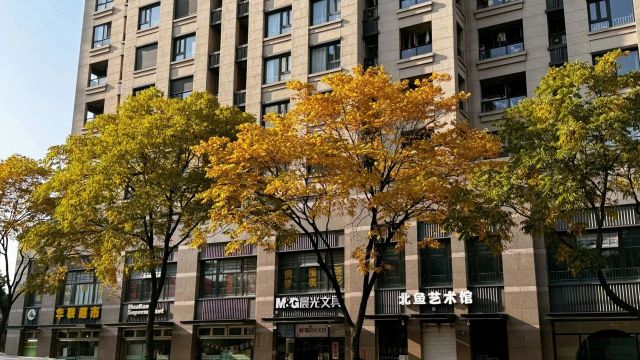 1216_130721_849.jpg 微信图片_2024-12-16_130526_976.png