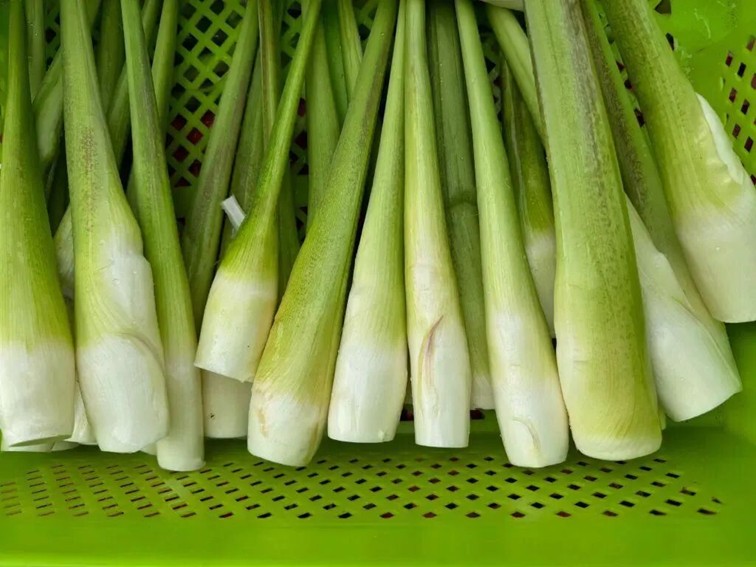 农文旅商体展资讯：青浦区2025年9月活动速览！