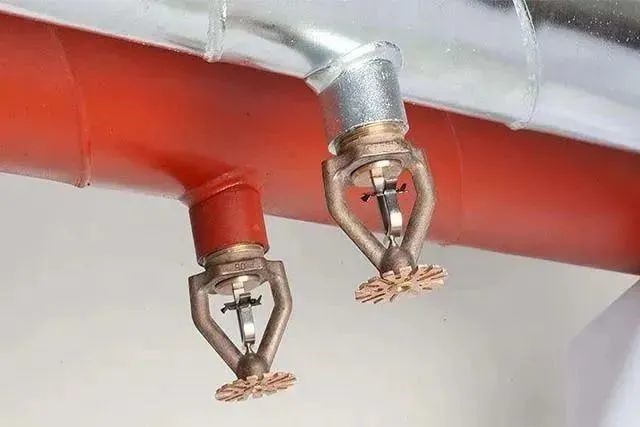 护航进博｜致青浦区快递物流企业的倡议书