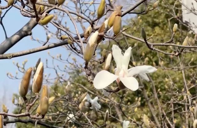 0304_101114_427.jpg 微信图片_2025-03-04_101221_021.jpg