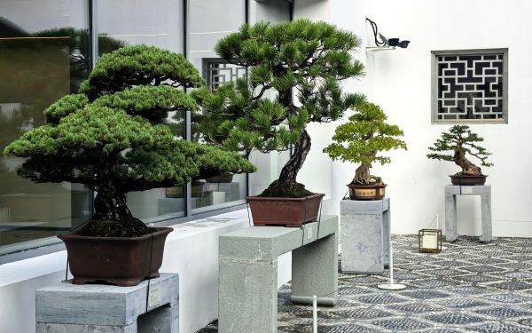 微信图片_20240905095338.jpg 微信图片_20240905095338.jpg