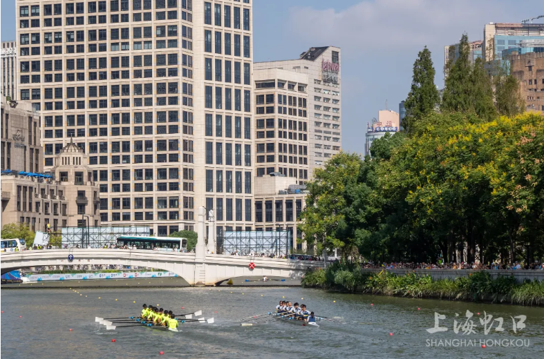 20240930080443016368.png image.png