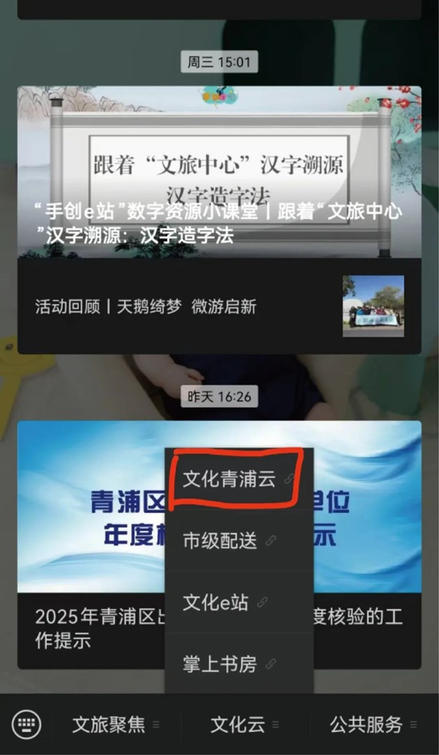 过大年·来青浦丨“艺”见青新，“趣”寻年味