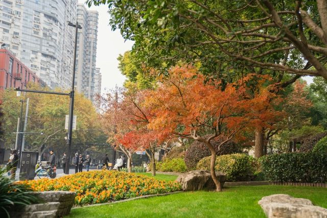 1216_131212_932.jpg 微信图片_2024-12-16_130602_008.png