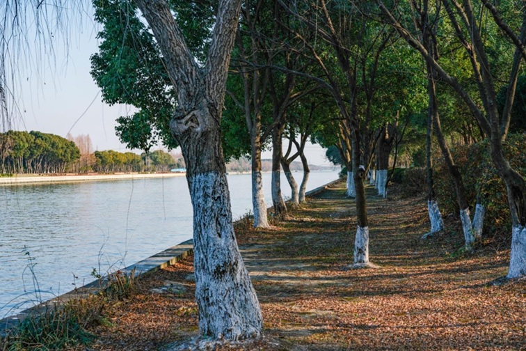 来青浦,骑行在青西“大河大湖”,太酷了! 来青浦,骑行在青西“大河大湖”,太酷了!
