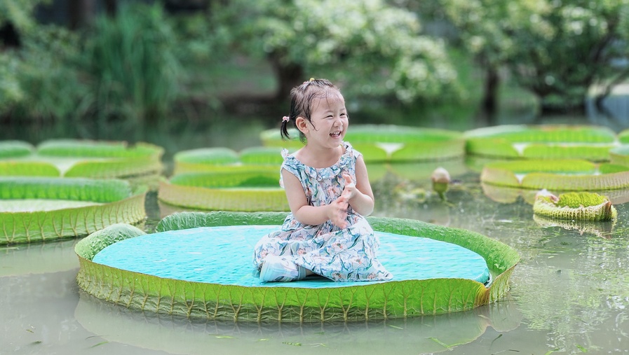 萌娃坐在硕大的王莲叶片上.jpeg 萌娃坐在硕大的王莲叶片上.jpeg