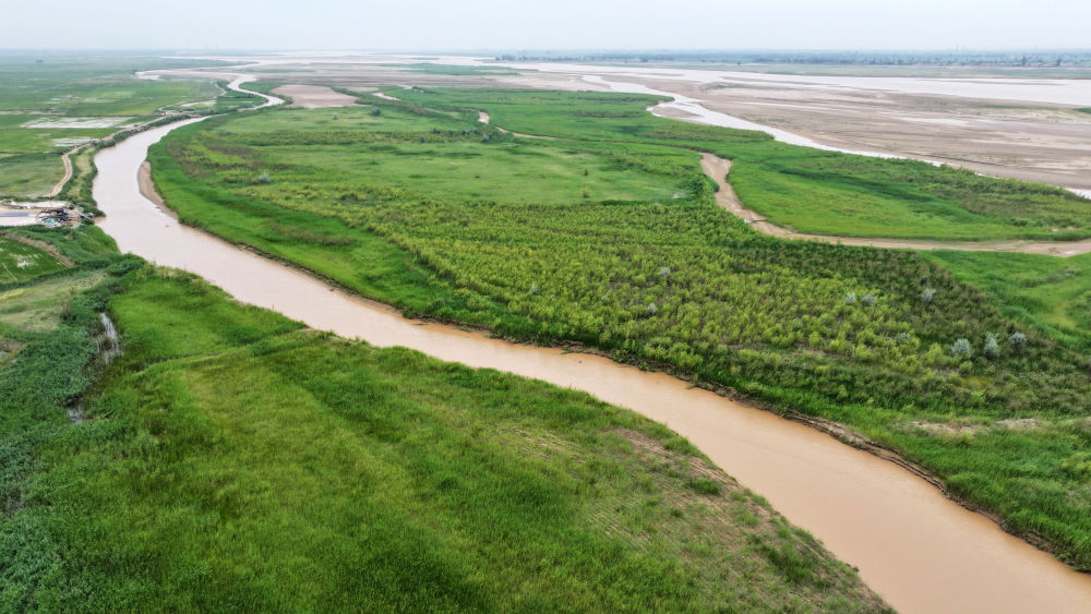 这是2025年6月22日在宁夏平罗县境内拍摄的黄河滩涂湿地(无人机照片)。新华社记者 王鹏 摄.jpg