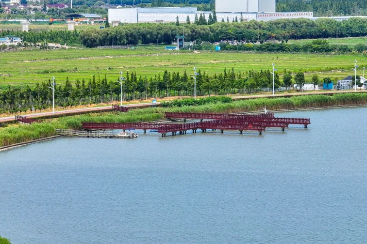 江南春景水一半，12处小流域绘青浦生态美域