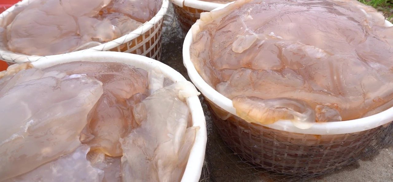 微信图片_20241226092908.jpg 微信图片_20241226092908.jpg