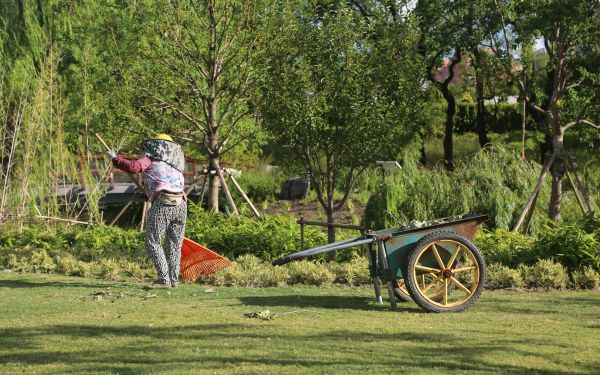 8C9A0142.jpg 8C9A0142.jpg