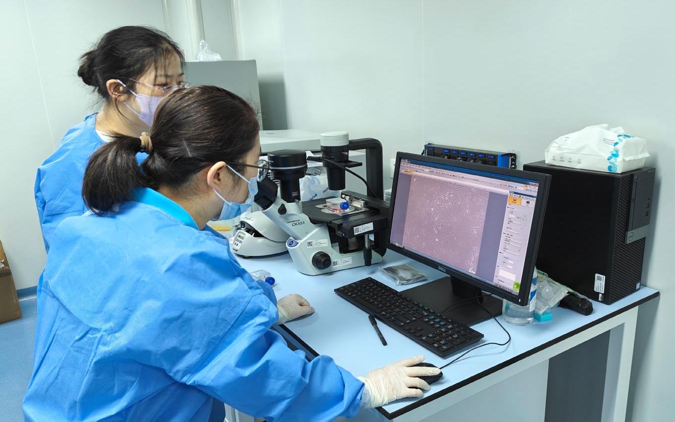 1779421632.jpg 1779421632.jpg