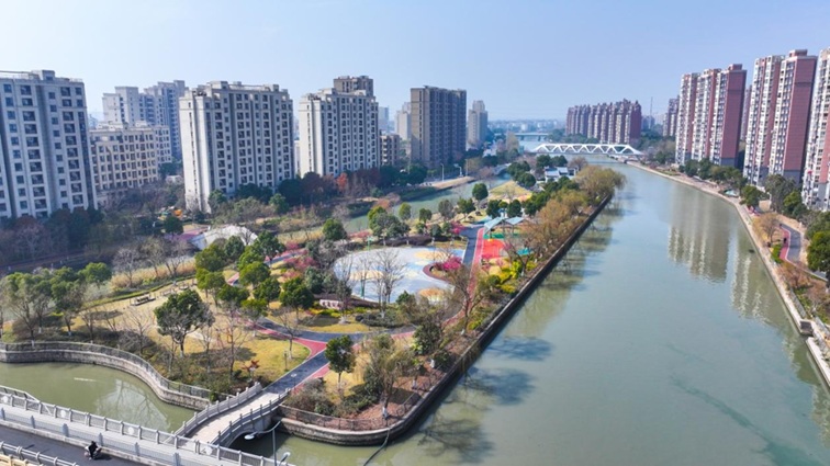 沪水畔,慢时光!梅花映水,到青浦赏梅品水 沪水畔,慢时光!梅花映水,到青浦赏梅品水