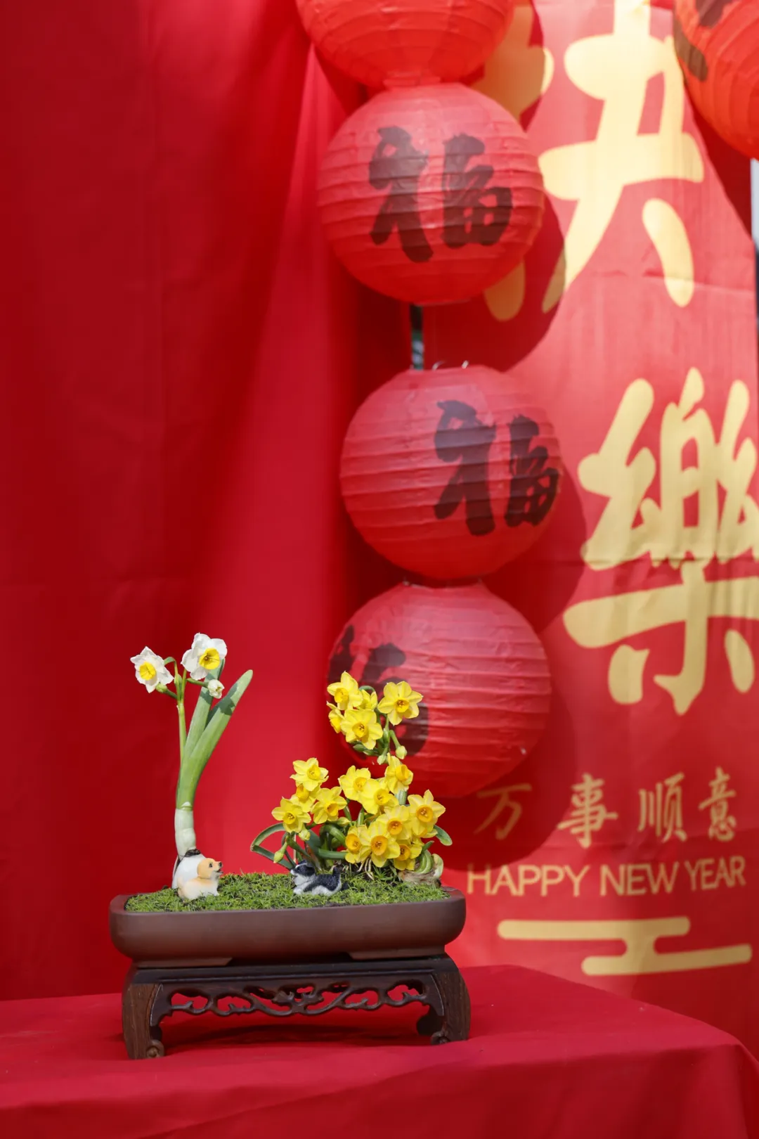 图片 6.png 图片 6.png