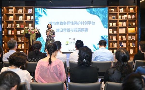 DSC_5282.jpg DSC_5282.jpg