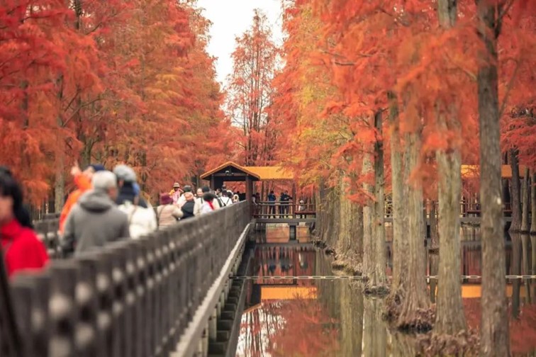 跟着半马游青浦｜收藏！带你玩转线路周边吃喝玩乐全攻略！