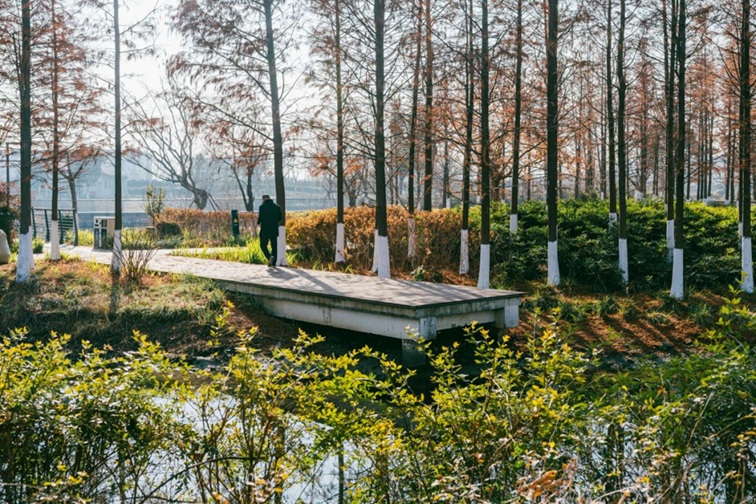 青浦河长:城中美湖,静谧安然 青浦河长:城中美湖,静谧安然