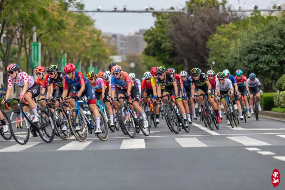 图片10.jpg 图片10.jpg