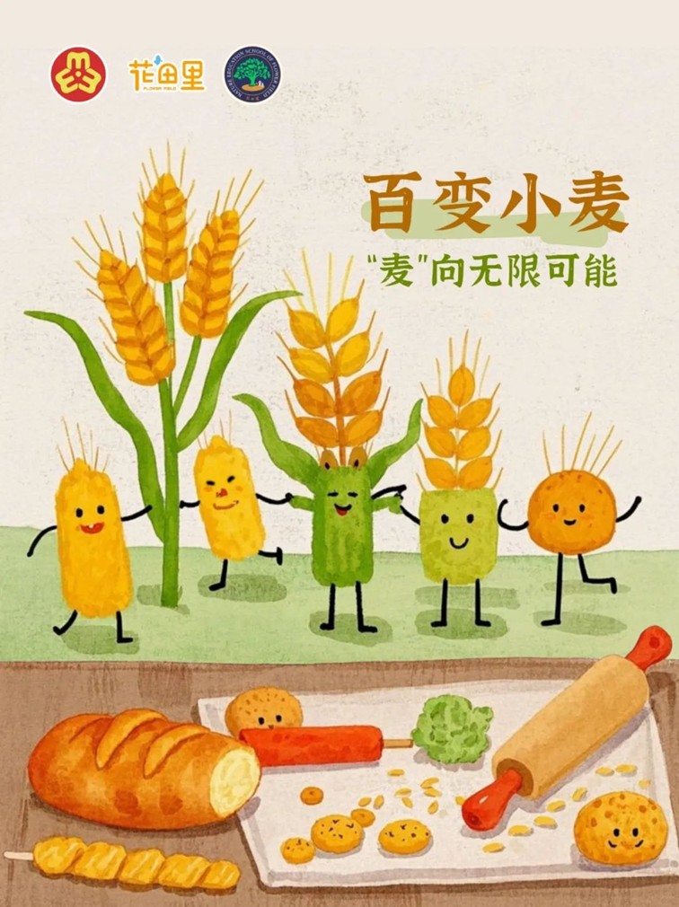 青浦区妇联活动预告：春日序章，2025年4月活动邀您共赴诗意之约