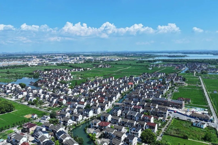 江南春景水一半，12处小流域绘青浦生态美域