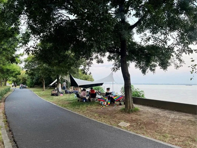 追风少年的春日漫游指南,带你邂逅青浦的N种风情! 追风少年的春日漫游指南,带你邂逅青浦的N种风情!