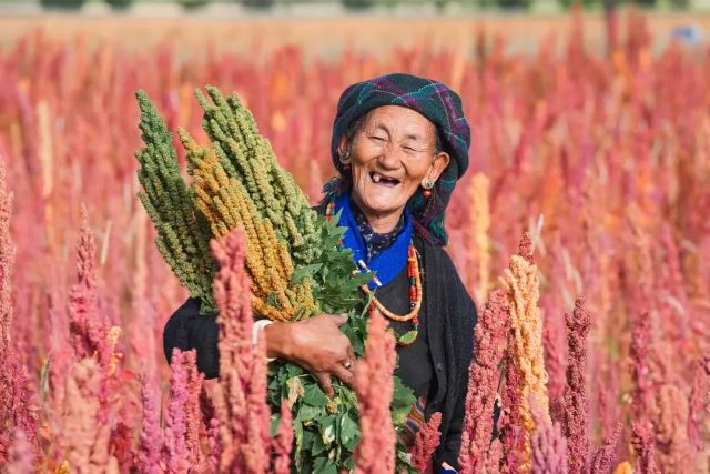 1012_134640_708.jpg 微信图片_20241012105807.jpg