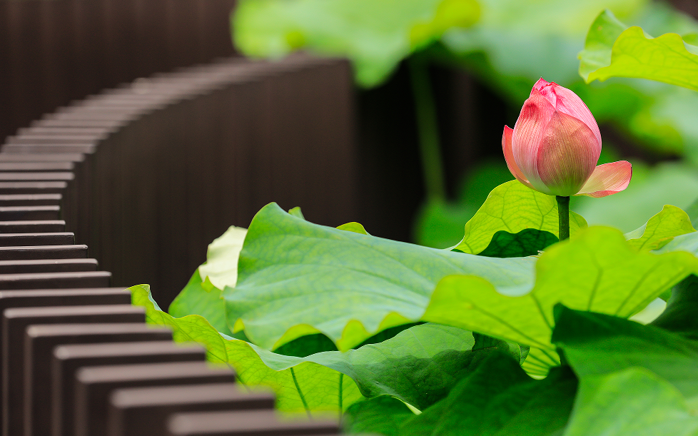 微信图片_20240703134632.png 微信图片_20240703134632.png