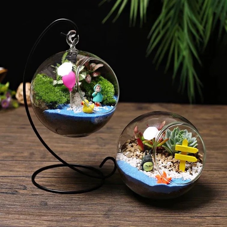 青浦区妇联活动预告：冬日暖阳，温馨活动招募，点亮你的冬天！