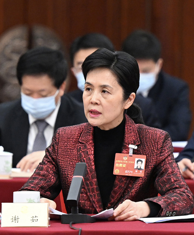 出席全国政协十四届一次会议的谢茹委员在发言.jpg 出席全国政协十四届一次会议的谢茹委员在发言.jpg