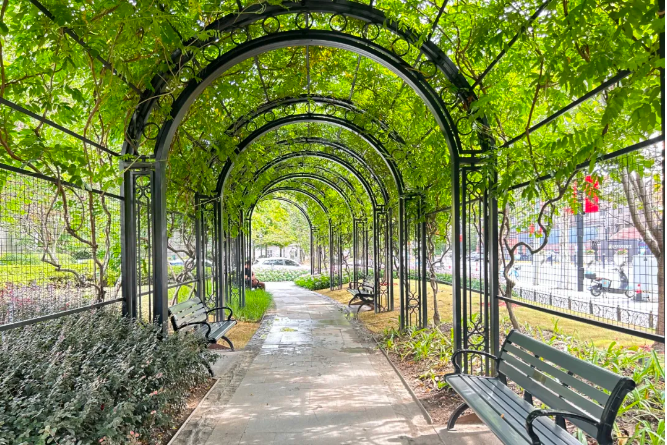 20241015081717021704.png image.png