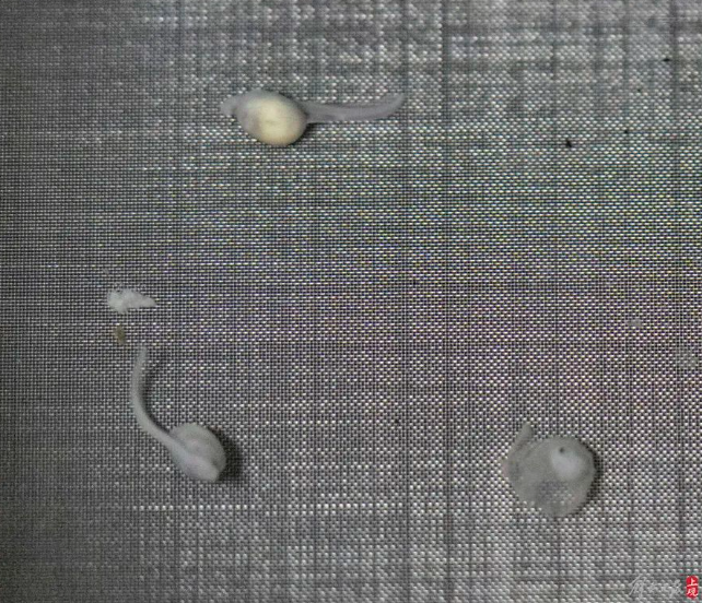 屏幕捕获_2024_10_10_09_26_58_102.png 屏幕捕获_2024_10_10_09_26_58_102.png