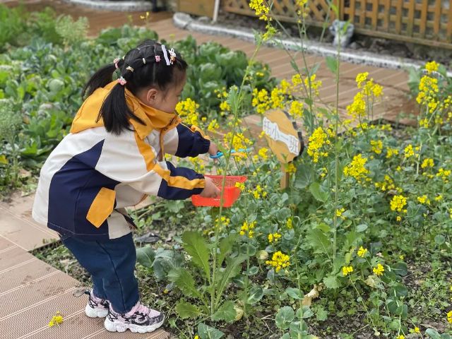 0407_140703_173.jpg 微信图片_2025-04-07_103319_481.jpg