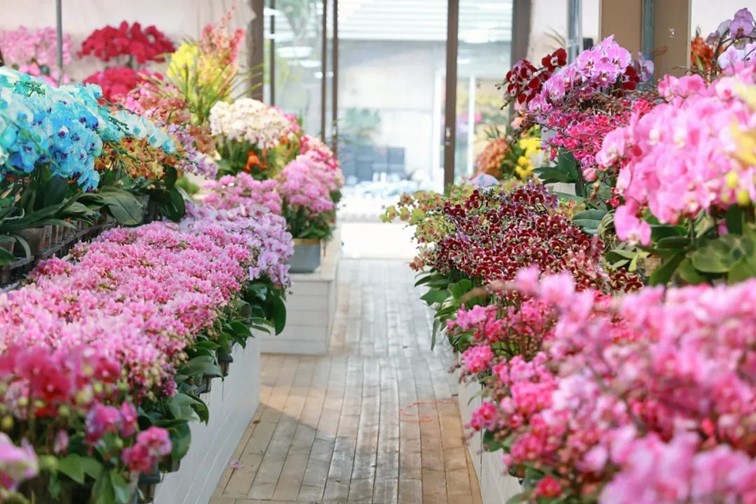 会·聚青浦|这条既City又Country的旅“行”,才是当代人的最爱! 会·聚青浦|这条既City又Country的旅“行”,才是当代人的最爱!