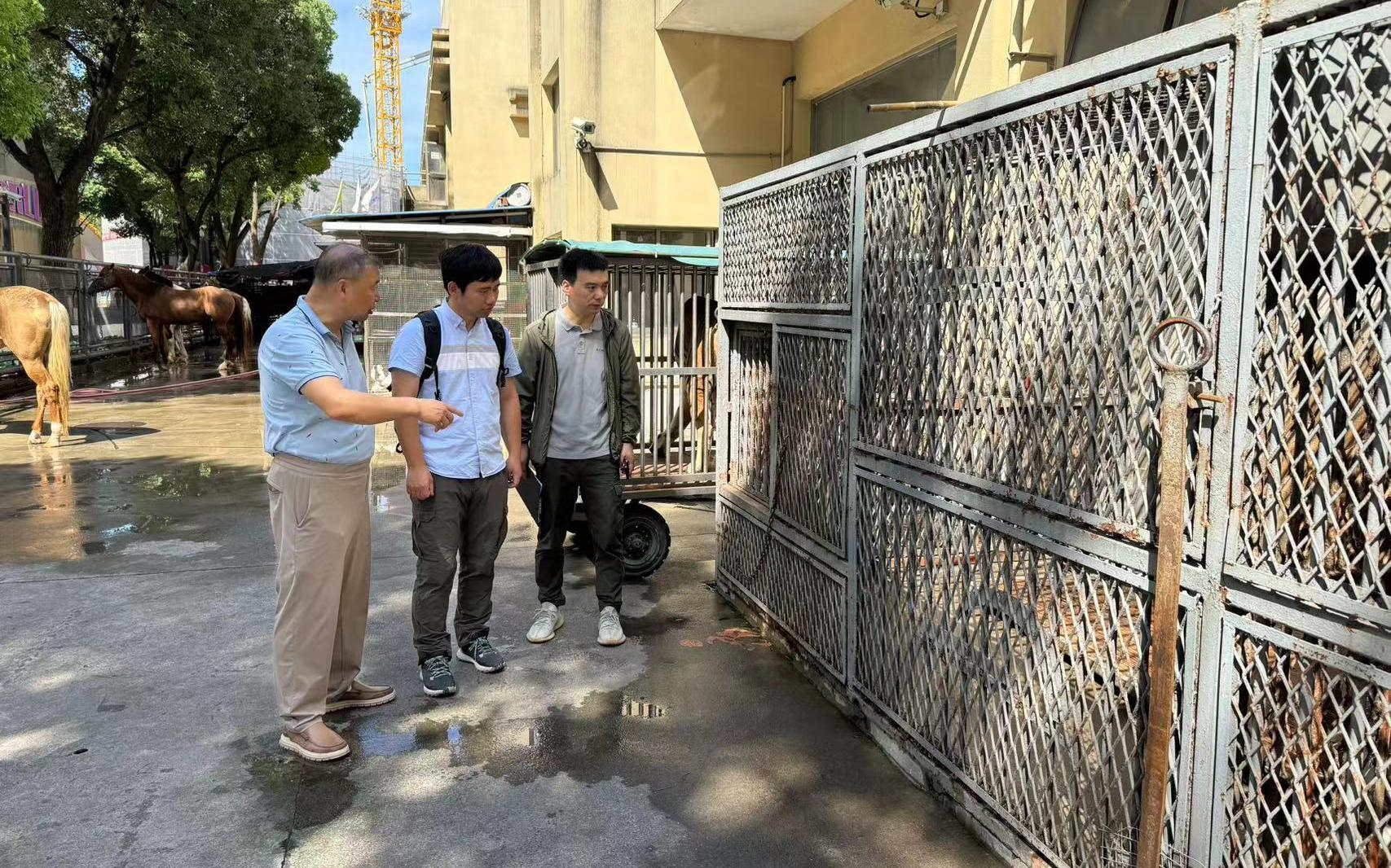 上海市开展虎等陆生野生动物人工繁育专项整治行动1.jpg 上海市开展虎等陆生野生动物人工繁育专项整治行动1.jpg