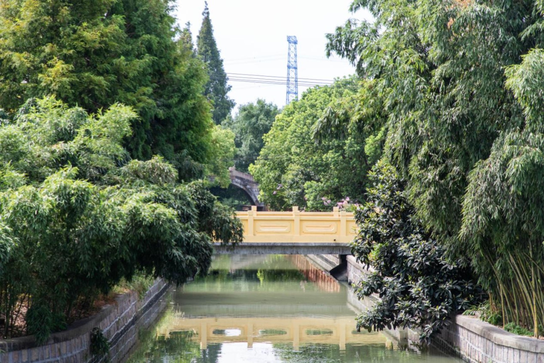 秋日“沪”水游丨青浦,江南秋日胜春朝 秋日“沪”水游丨青浦,江南秋日胜春朝