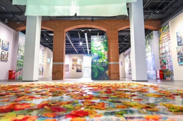 1009_141937_702.jpg 微信图片_20241009121406.jpg