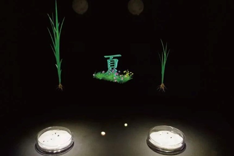 会·聚青浦|入住颜值与舒适并存的青浦民宿,隐逸乡野,静享秋欢! 会·聚青浦|入住颜值与舒适并存的青浦民宿,隐逸乡野,静享秋欢!