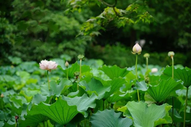 0722_121344_220.jpg 640 (8).jpg