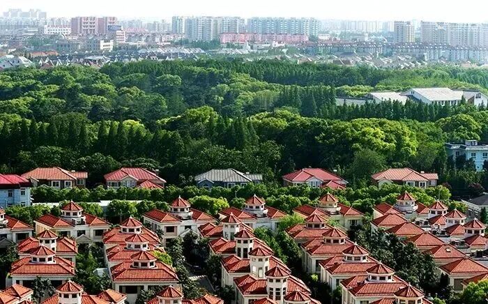 长宁区委书记孔福安在新泾镇调研生态文明建设工作1.jpg