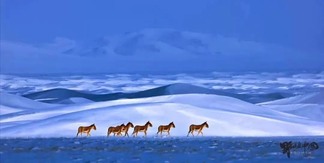 漫步科创街区、走进社区“会客厅”……第二波“政府开放月”活动,邀你来参与~5.jpg 漫步科创街区、走进社区“会客厅”……第二波“政府开放月”活动,邀你来参与~5.jpg