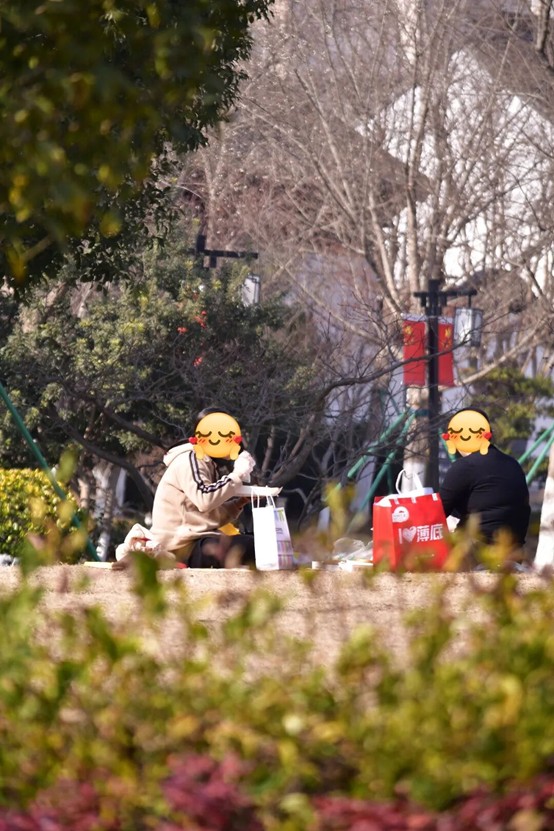 2026逛青浦环城水系公园指南