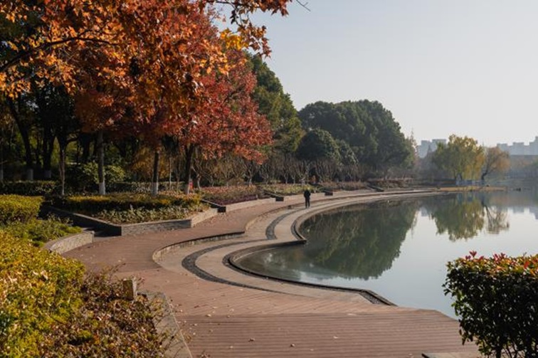 冬日“沪”水游，青浦新城：冬境绮梦，水韵流长