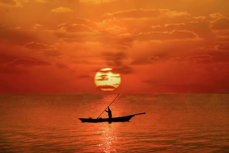 快高铁·慢生活｜开通啦！青浦上榜长三角“四季主题榜单”和十大主题线路！