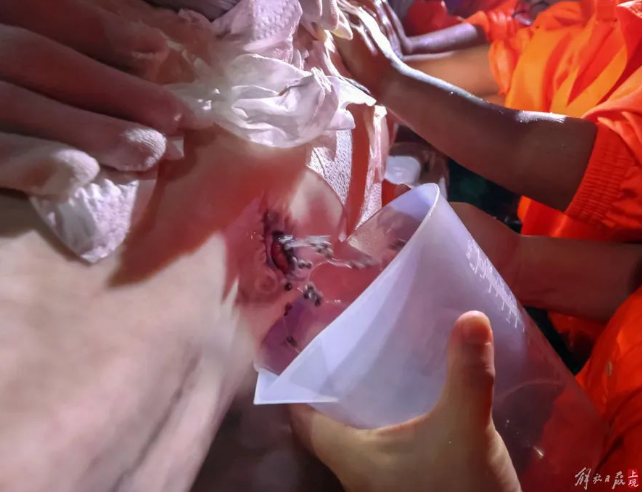 屏幕捕获_2024_10_10_09_26_27_419.png 屏幕捕获_2024_10_10_09_26_27_419.png