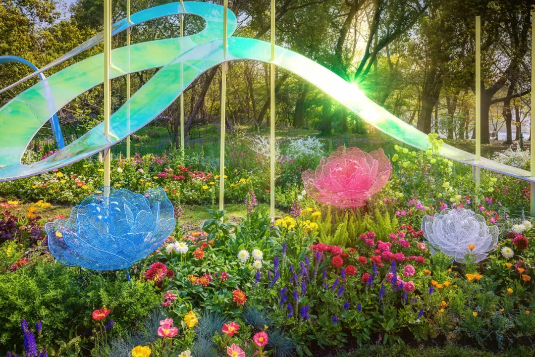 图片 8.png 图片 8.png