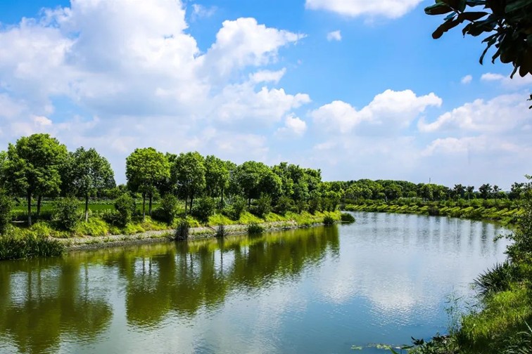 江南春景水一半，12处小流域绘青浦生态美域