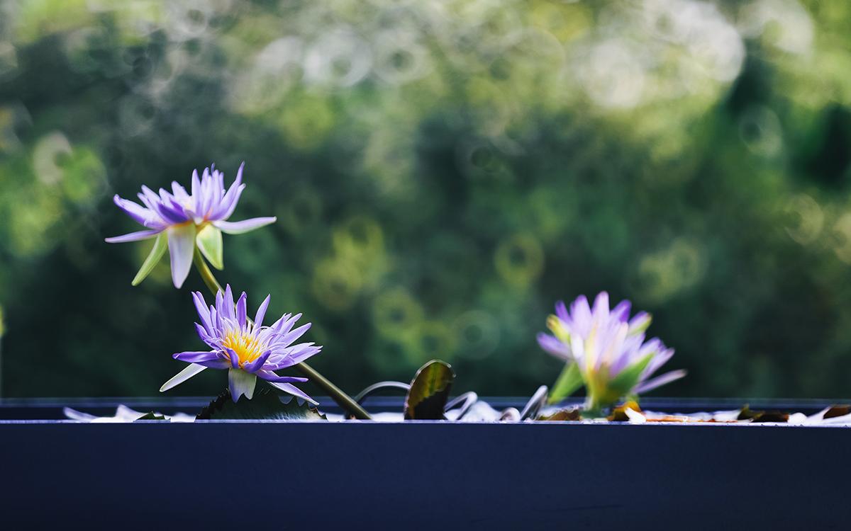 重伴 展区 (3).jpg 重伴 展区 (3).jpg