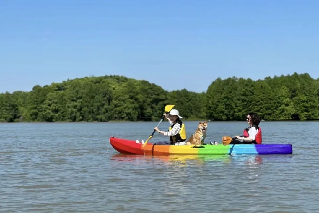 640 (2).jpg 640 (2).jpg